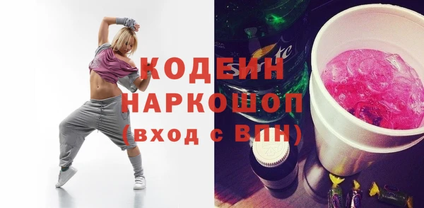 дурь Инта