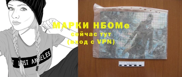 дурь Инта
