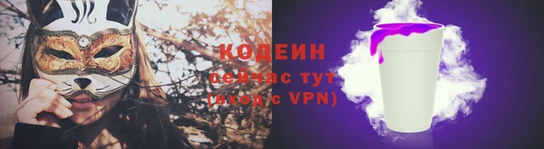 дурь Инта