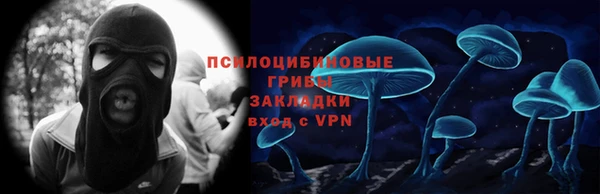 дурь Инта