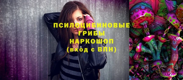 не бодяженный Инсар