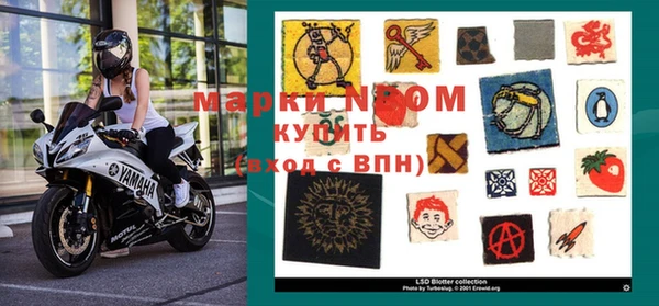 дурь Инта