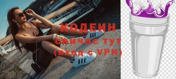 дурь Инта