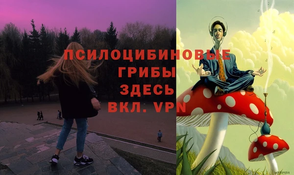 не бодяженный Инсар
