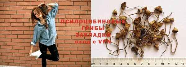 дурь Инта