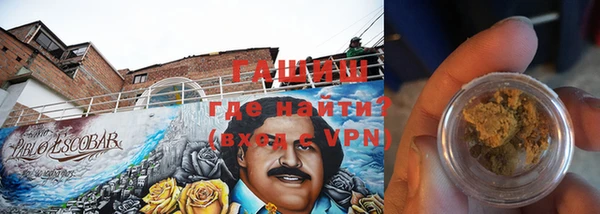 дурь Инта