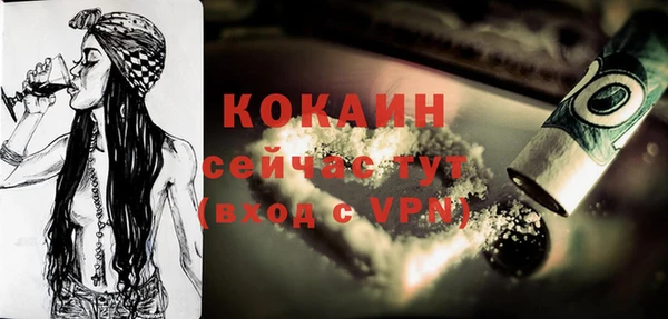 дурь Инта