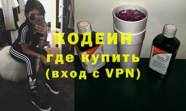 дурь Инта