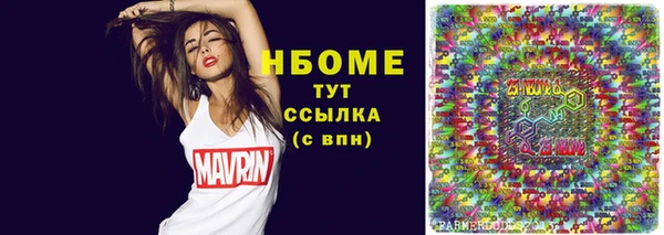 дурь Инта