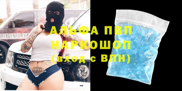 дурь Инта