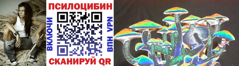 Галлюциногенные грибы Psilocybe  Купить закладки  Новосокольники 