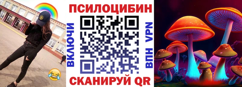 Псилоцибиновые грибы Psilocybe Новосокольники